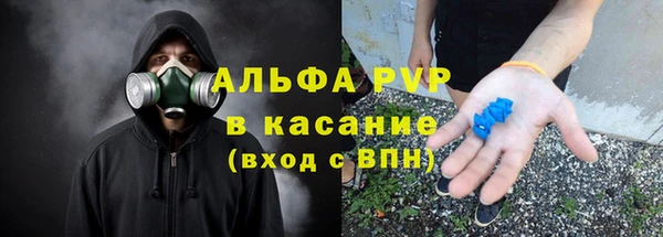 гашик Елизово