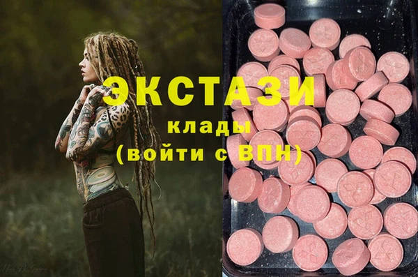 гашик Елизово