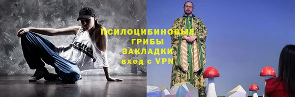 мдма Ельня