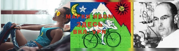 гашик Елизово