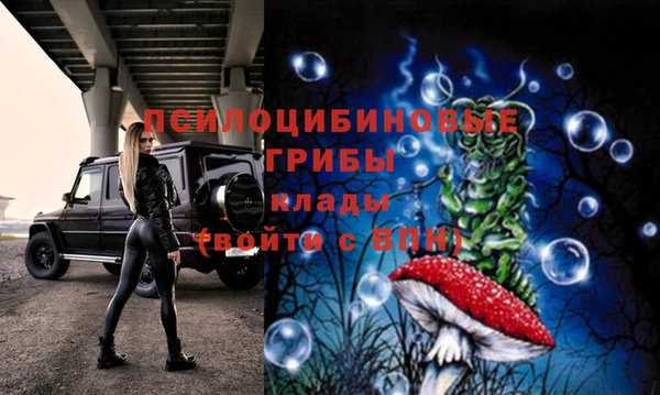 мескалин Елабуга