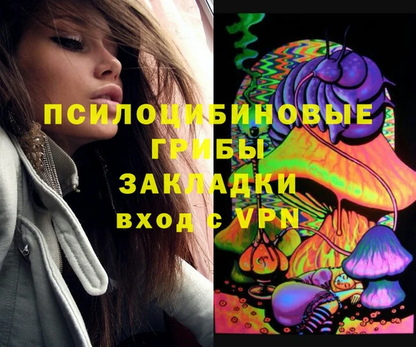 гашик Елизово