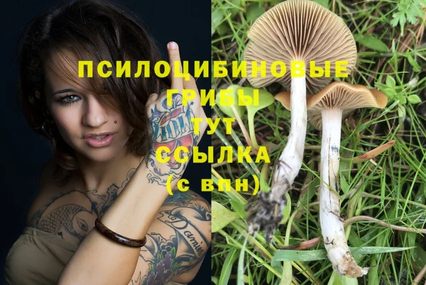 мескалин Елабуга