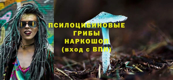 мдма Ельня
