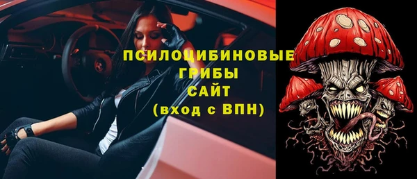 мдма Ельня