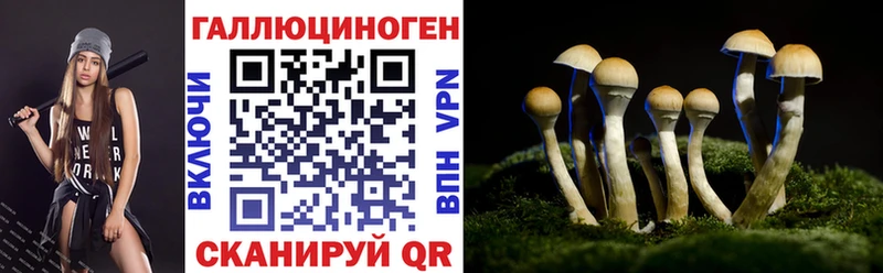Псилоцибиновые грибы ЛСД Пушкино